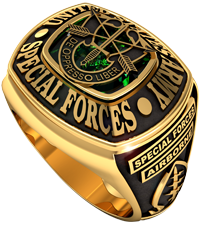 Guardian Series Ring