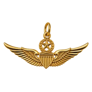 ARMY AVIATOR WINGS (Master, Senior, Novice)