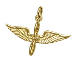 AVIATION OFFICER