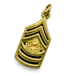 COMMAND SERGEANT MAJOR