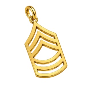MASTER SERGEANT