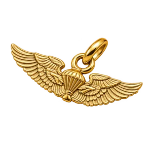 NAVIGATOR/OBSERVER BADGE SM
