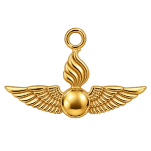 ORDNANCE AVIATION WINGS