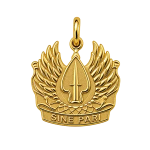 USASOC CREST SINE PARI