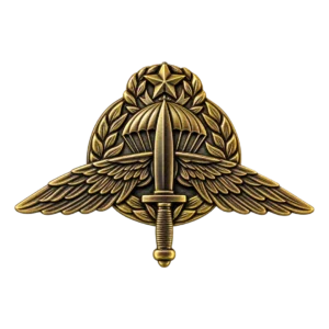 YELLOW TONE MASTER HALO LAPEL PIN